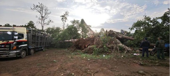 木邦镇遭遇暴雨大风 各单位紧急抢险救灾